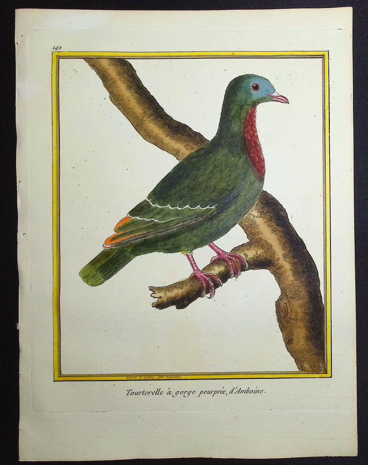 Turtledove