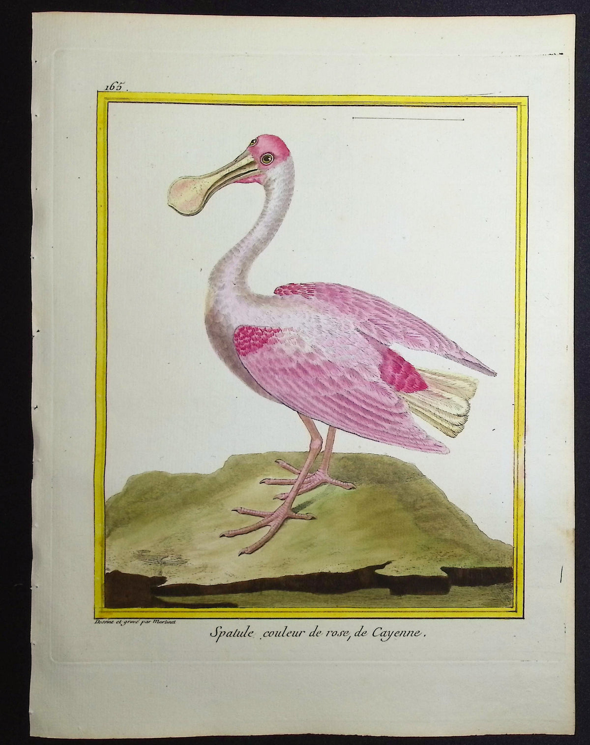 Roseate Spoonbill