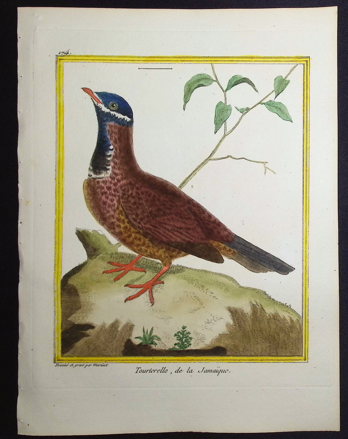 Turtledove