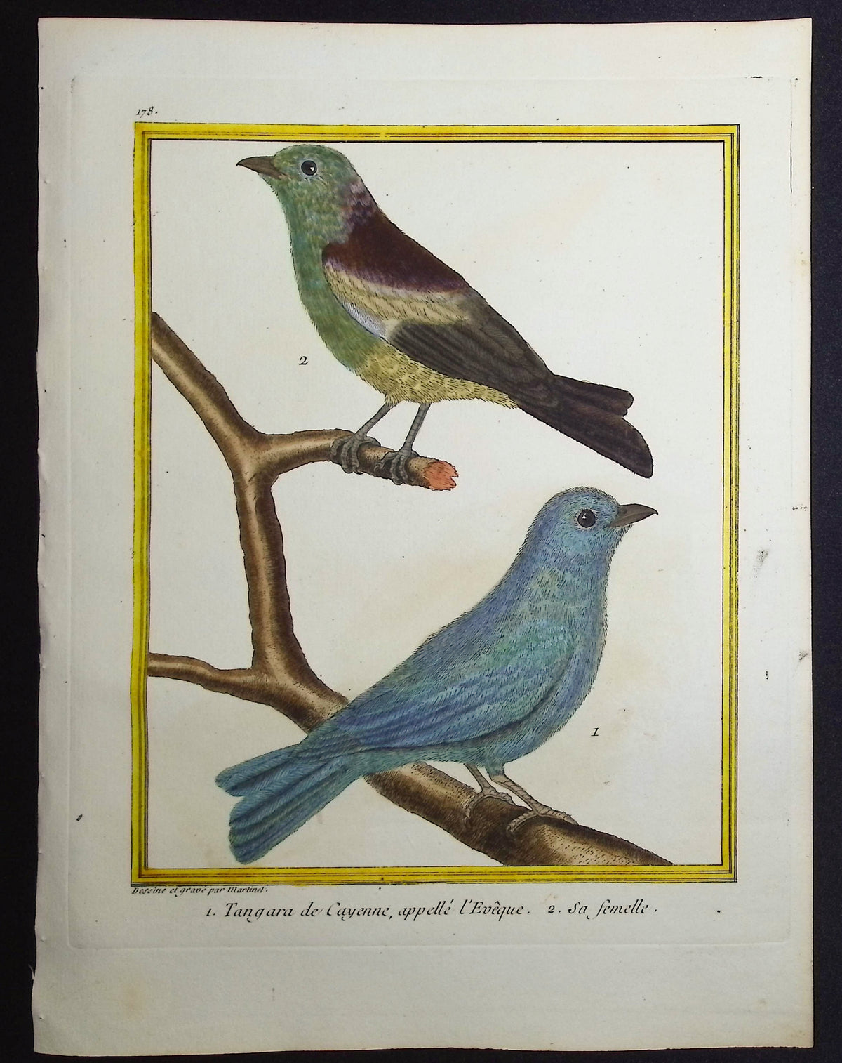 Turtledove