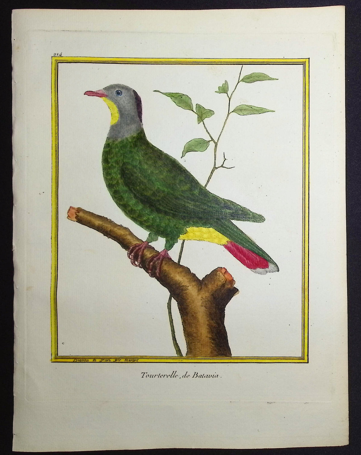 Turtledove