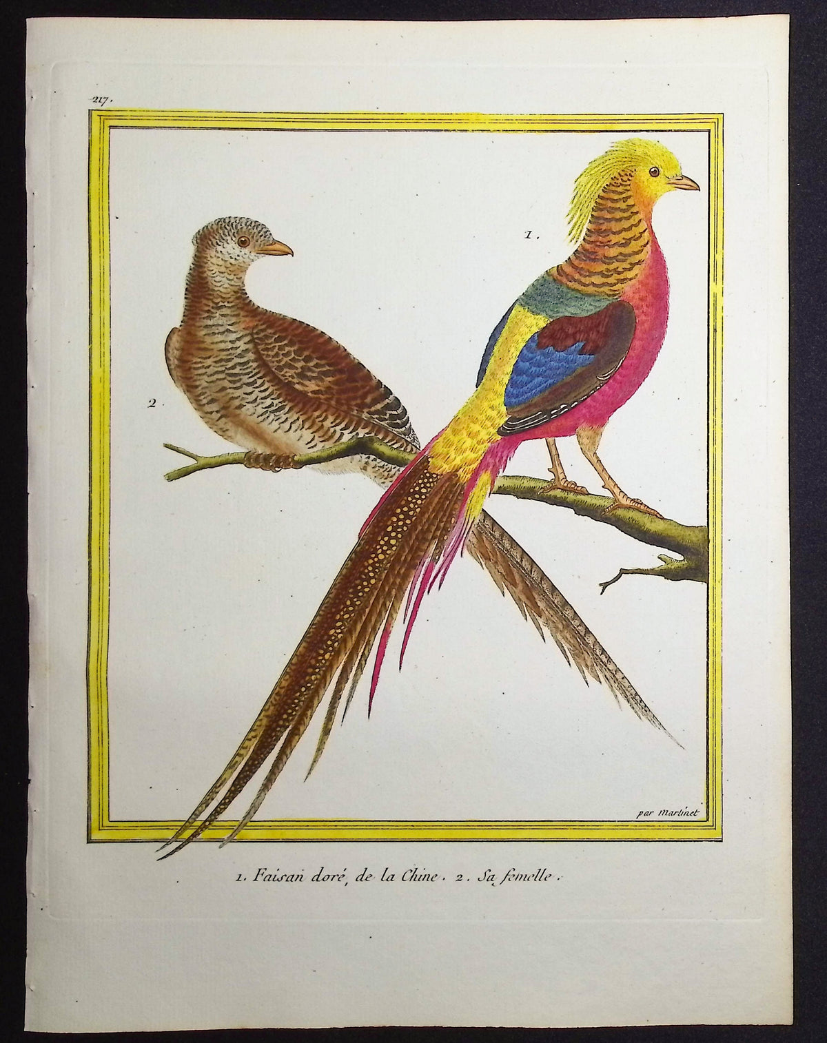 Pheasant