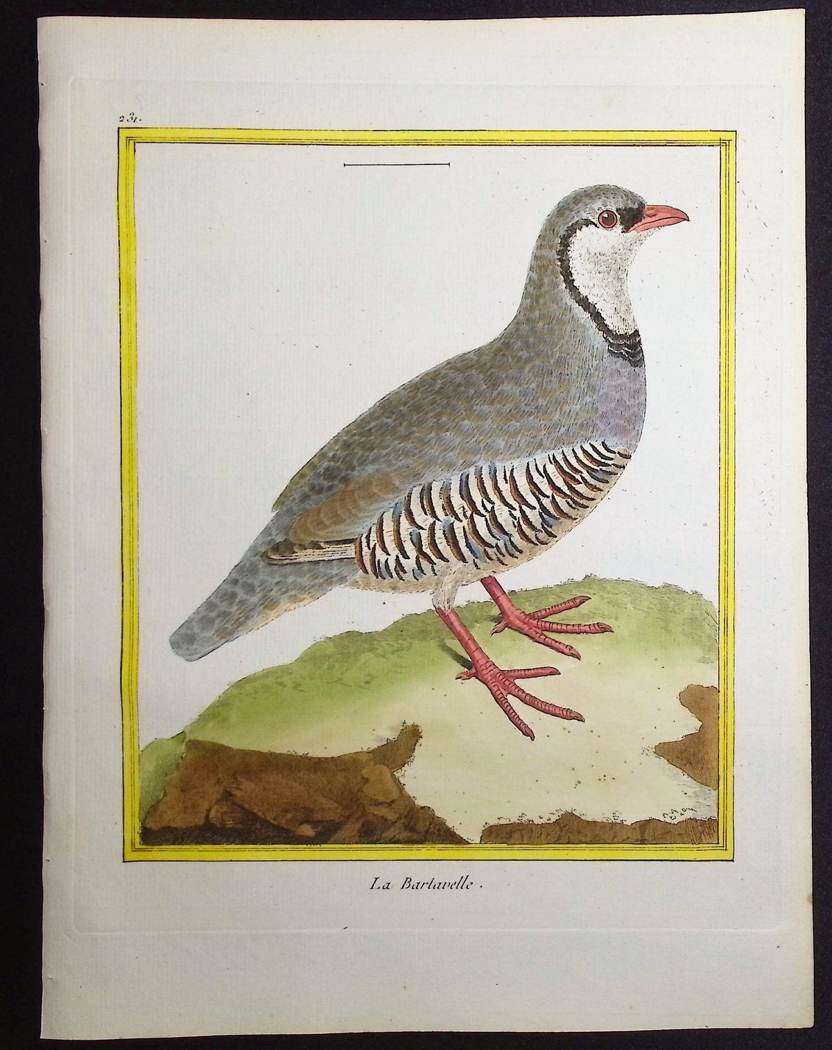 Rock Partridge