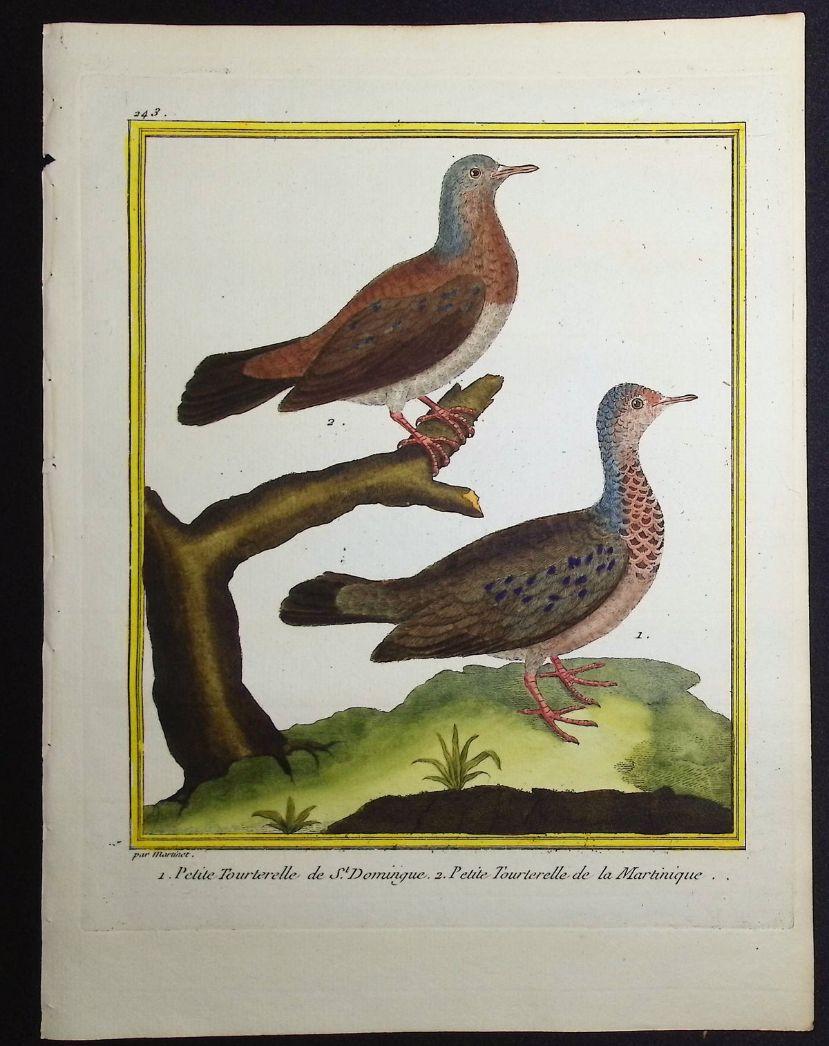 Turtledove