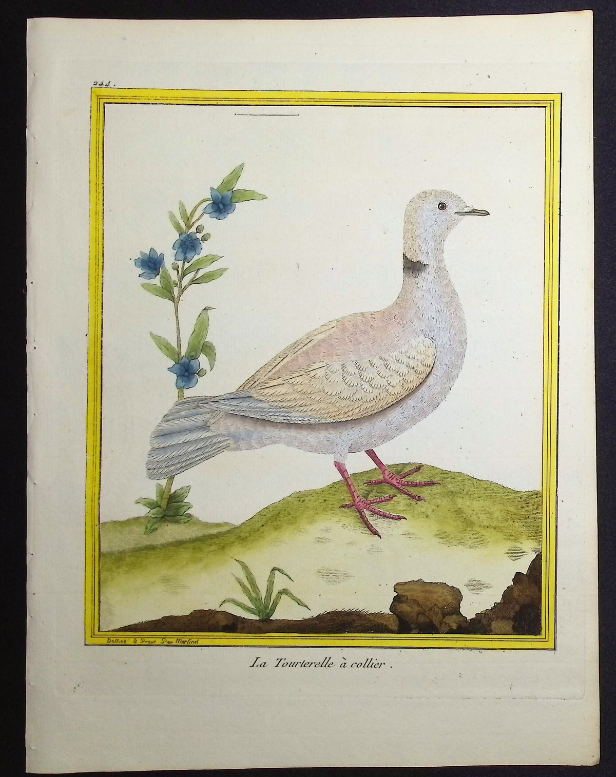 Turtledove