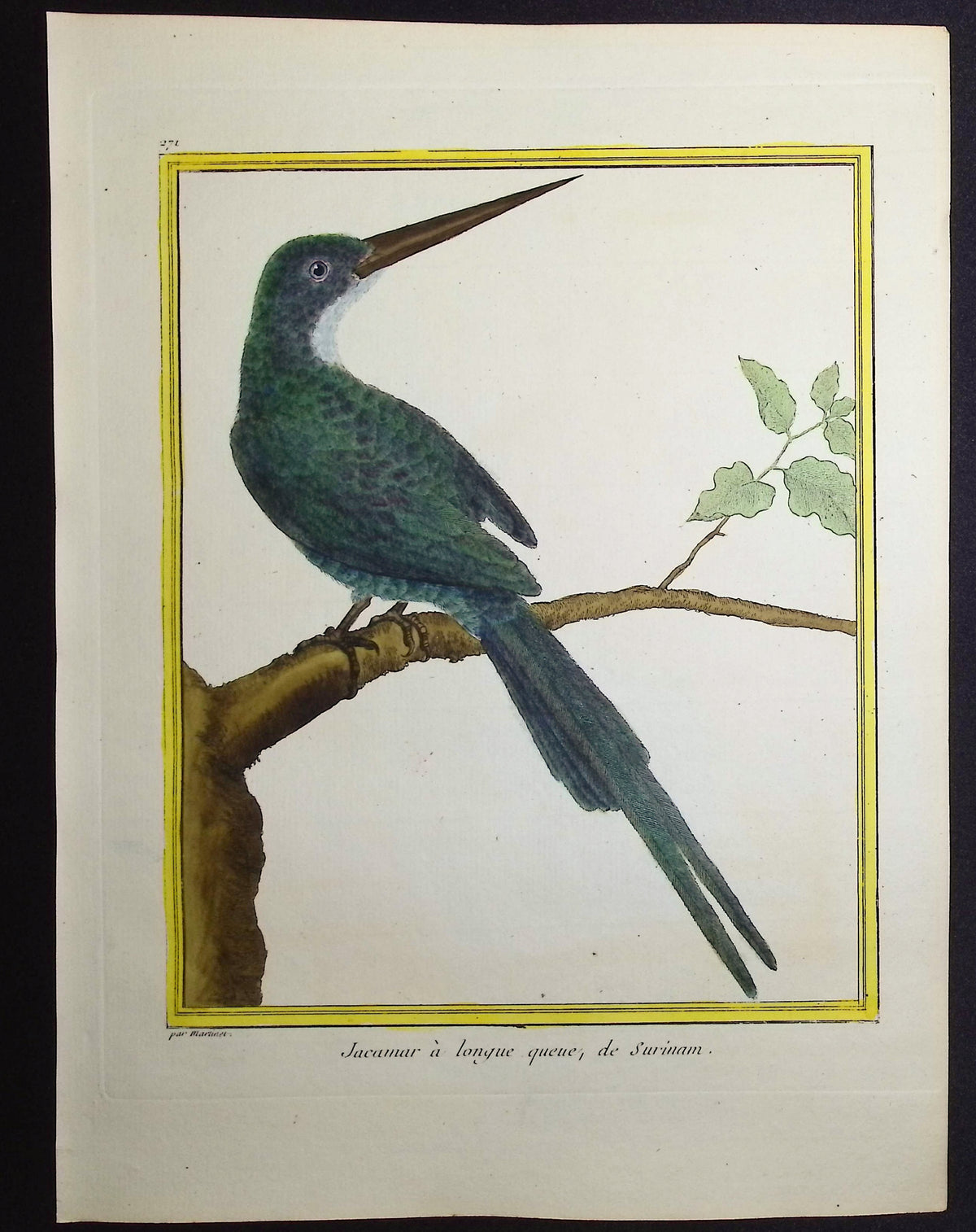 Jacamar