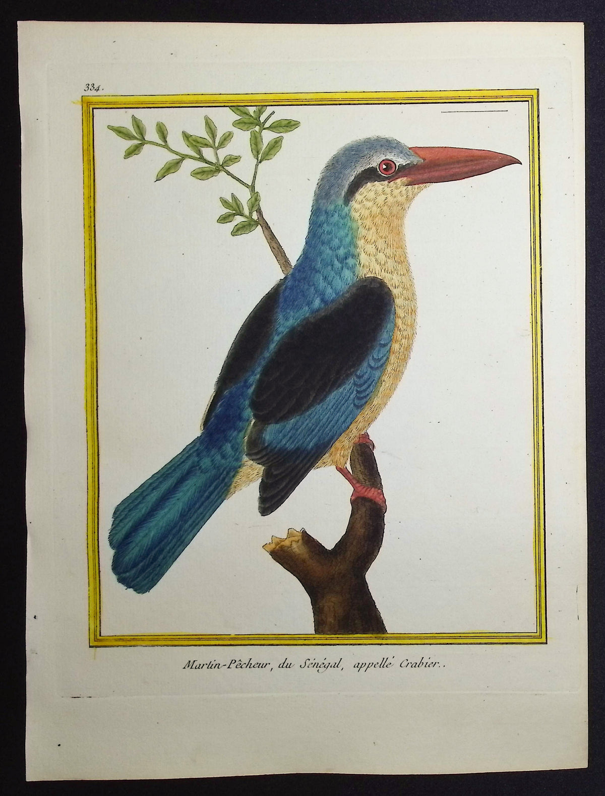 Kingfisher