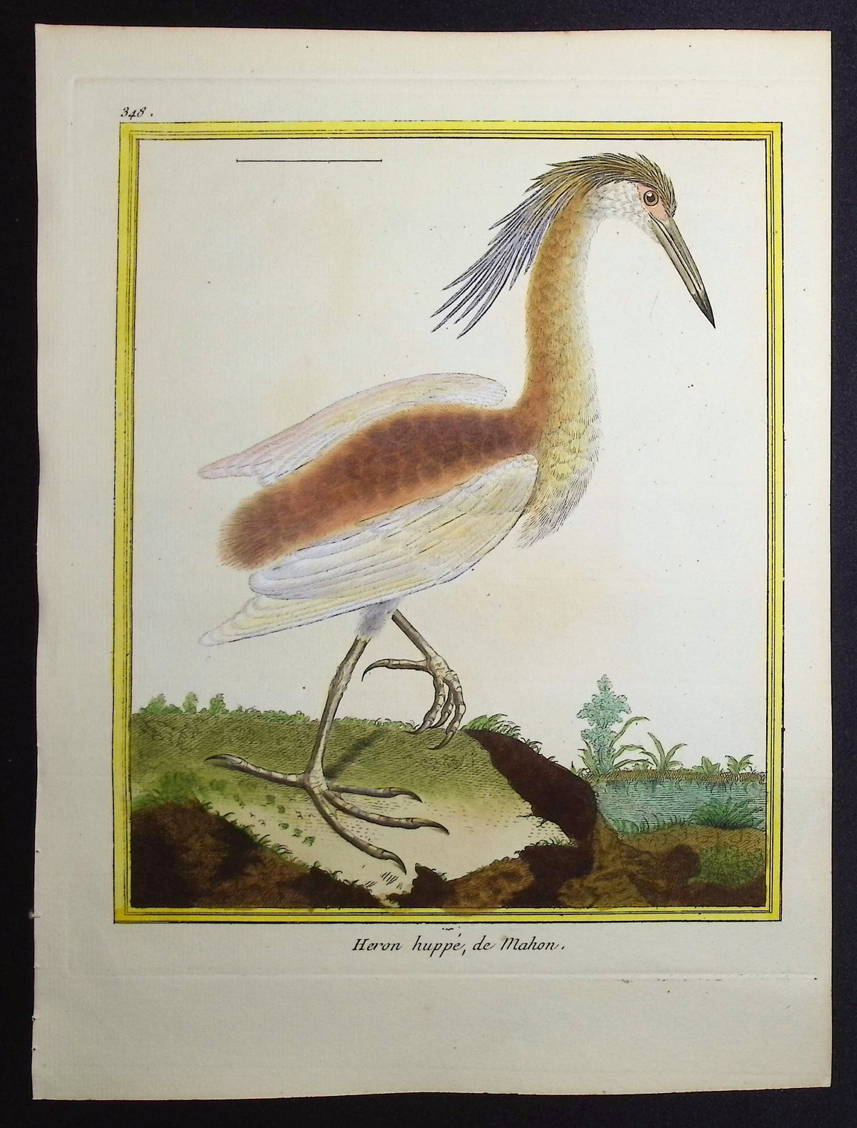 Heron