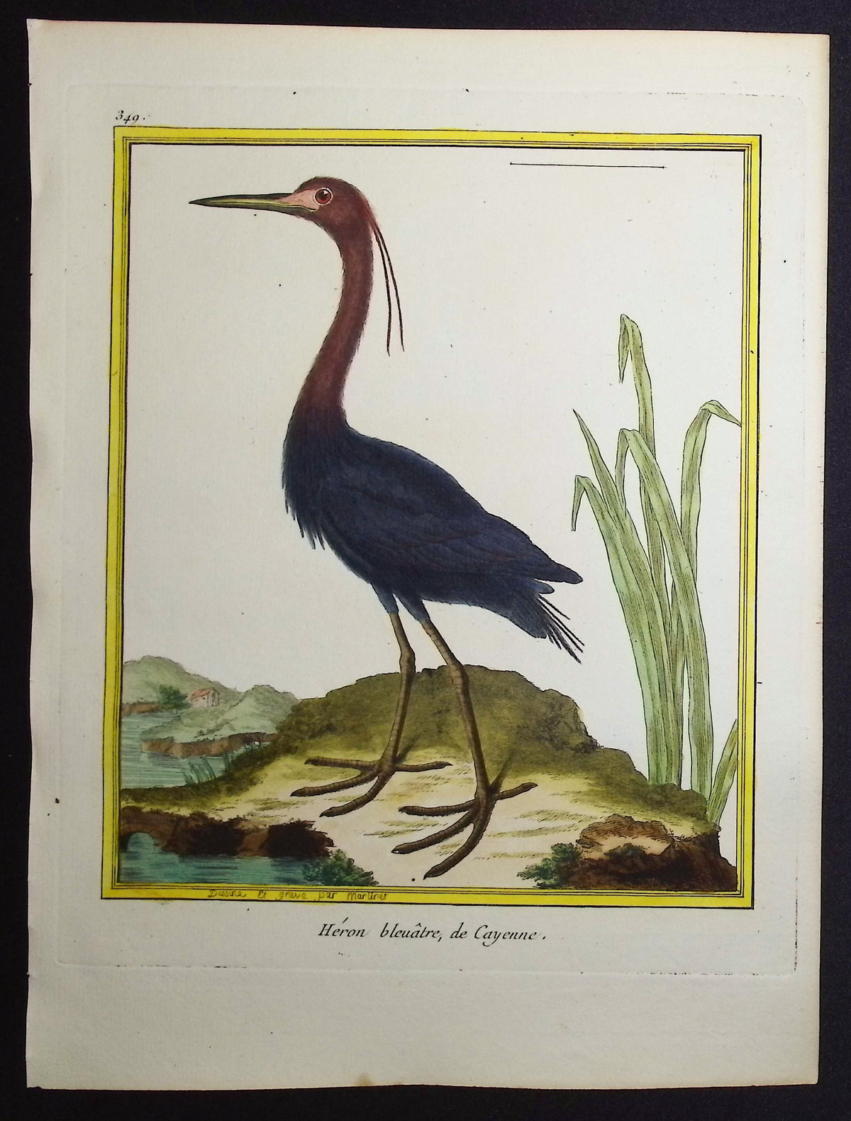 Heron