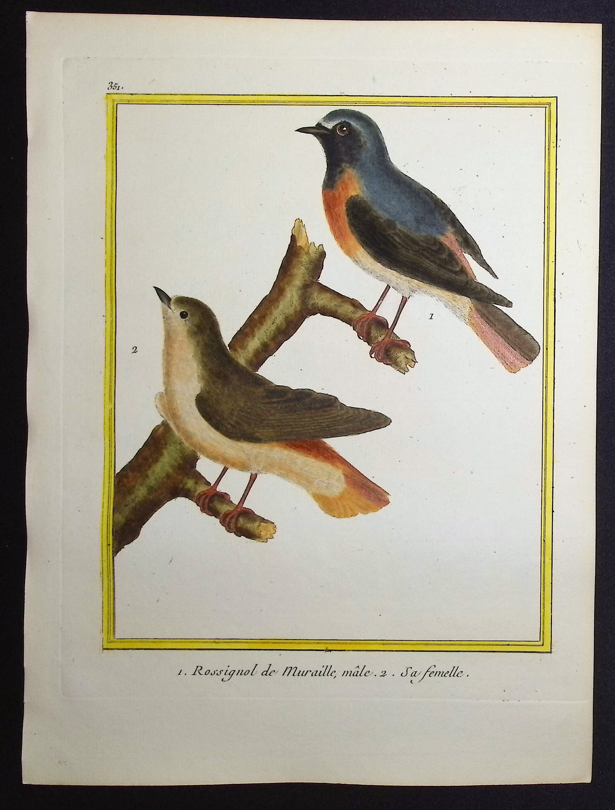 Nightingale