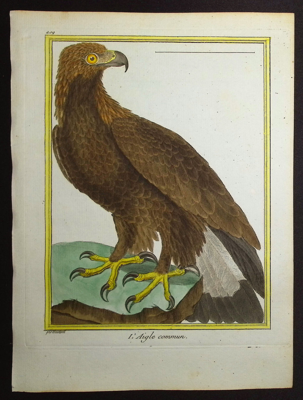 Eagle