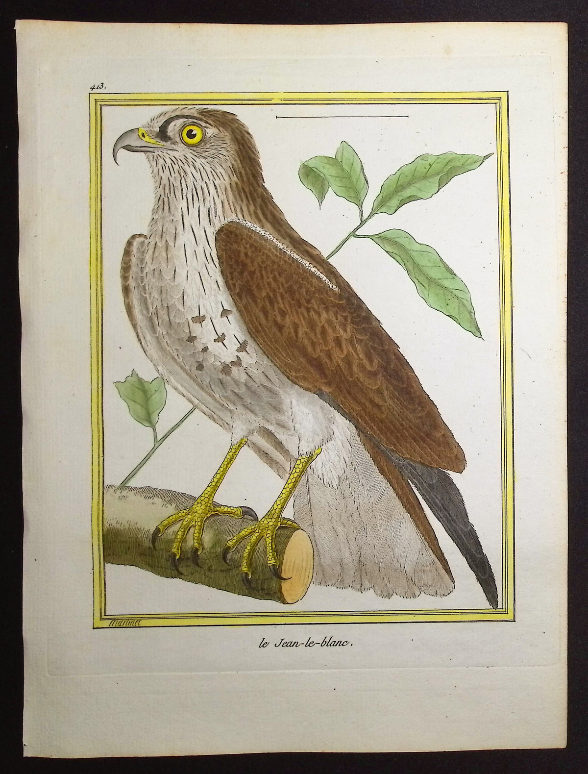Bird of Prey