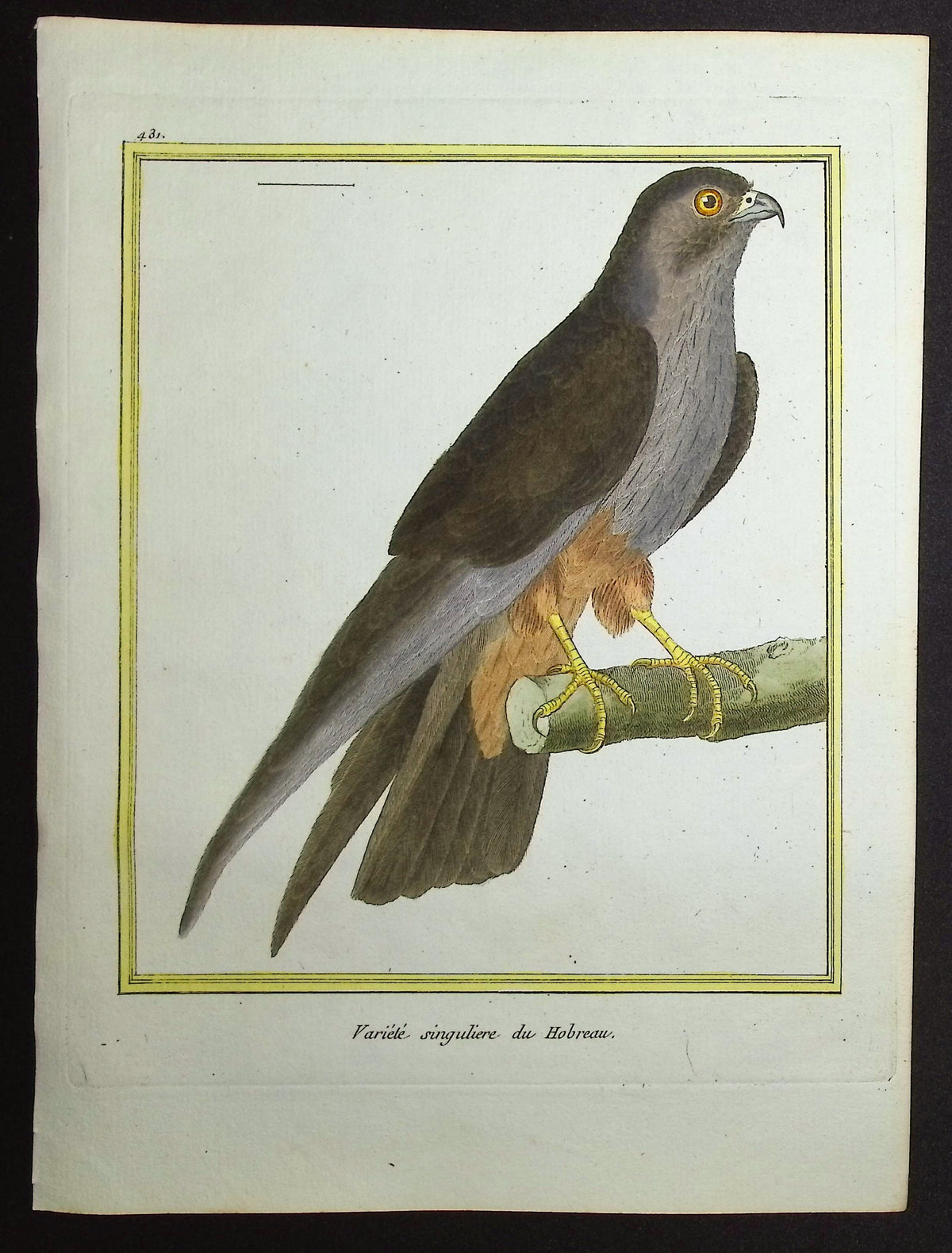Hobby