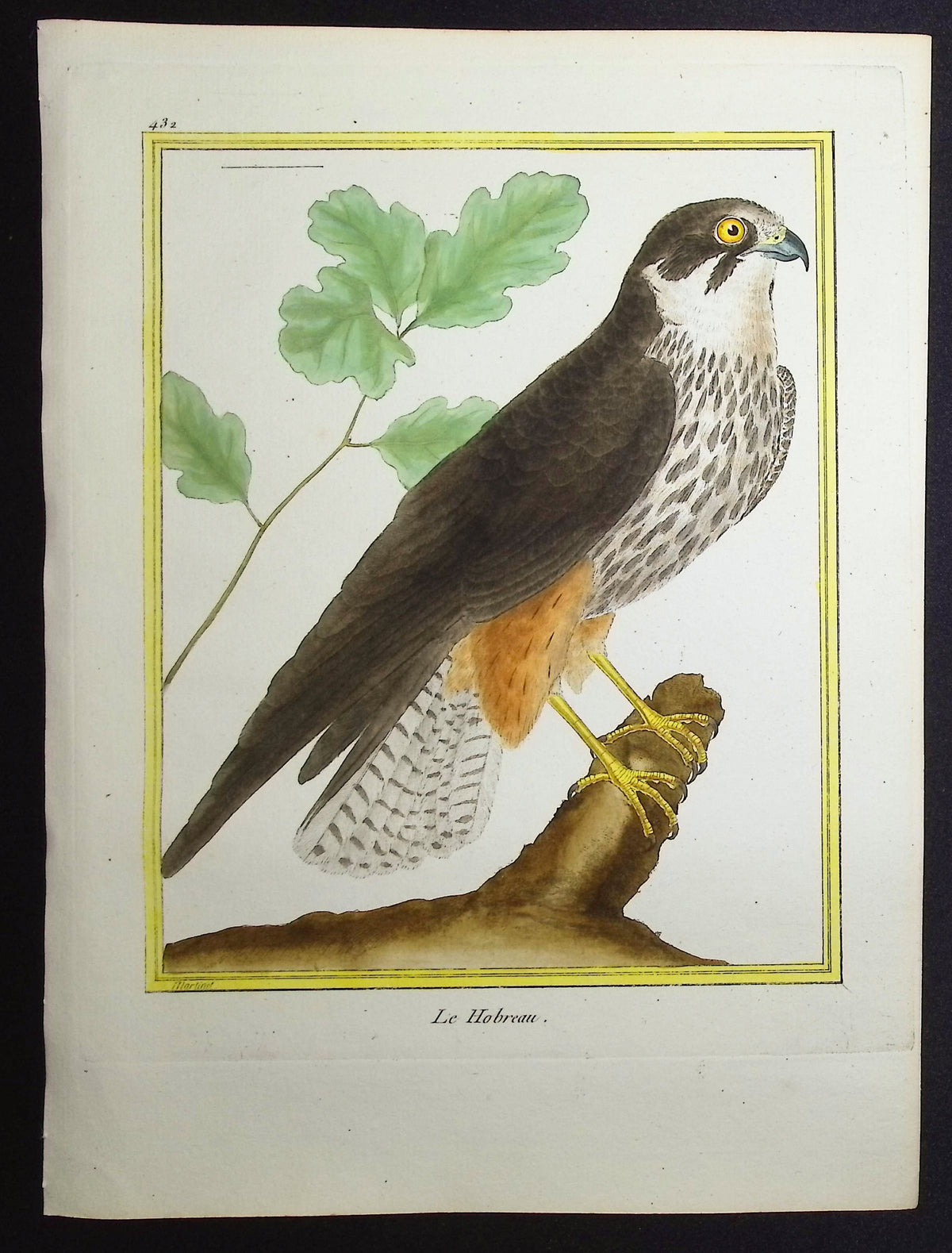 Hobby