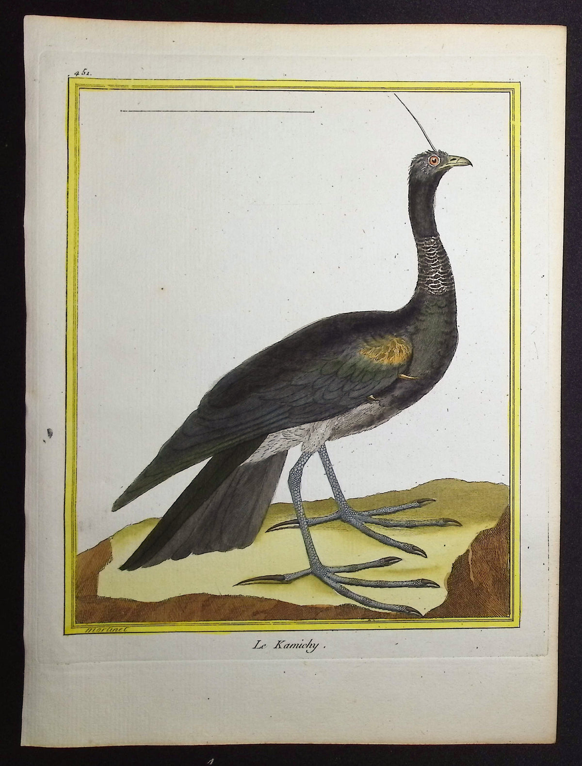 Horned Screamer