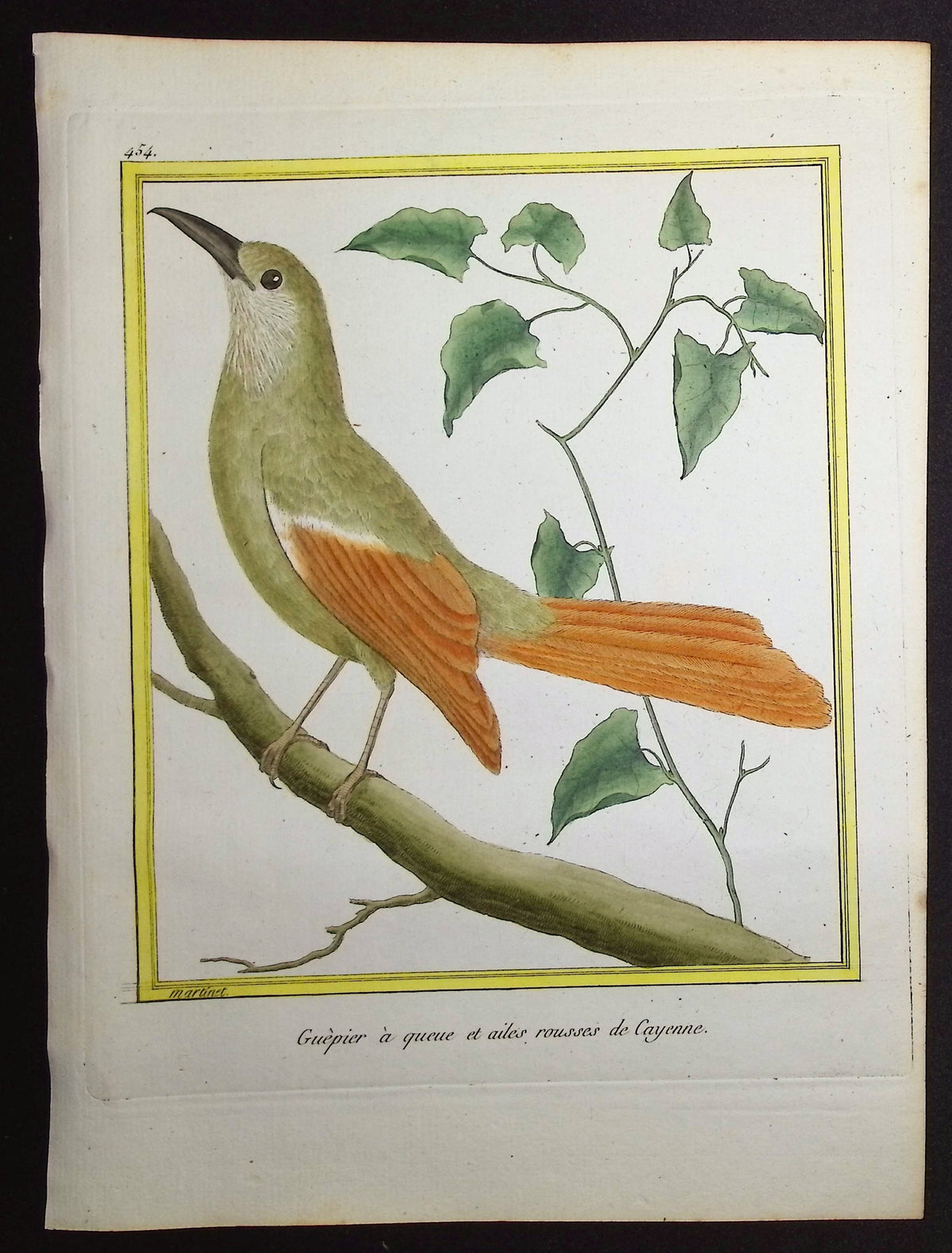 Jacamar
