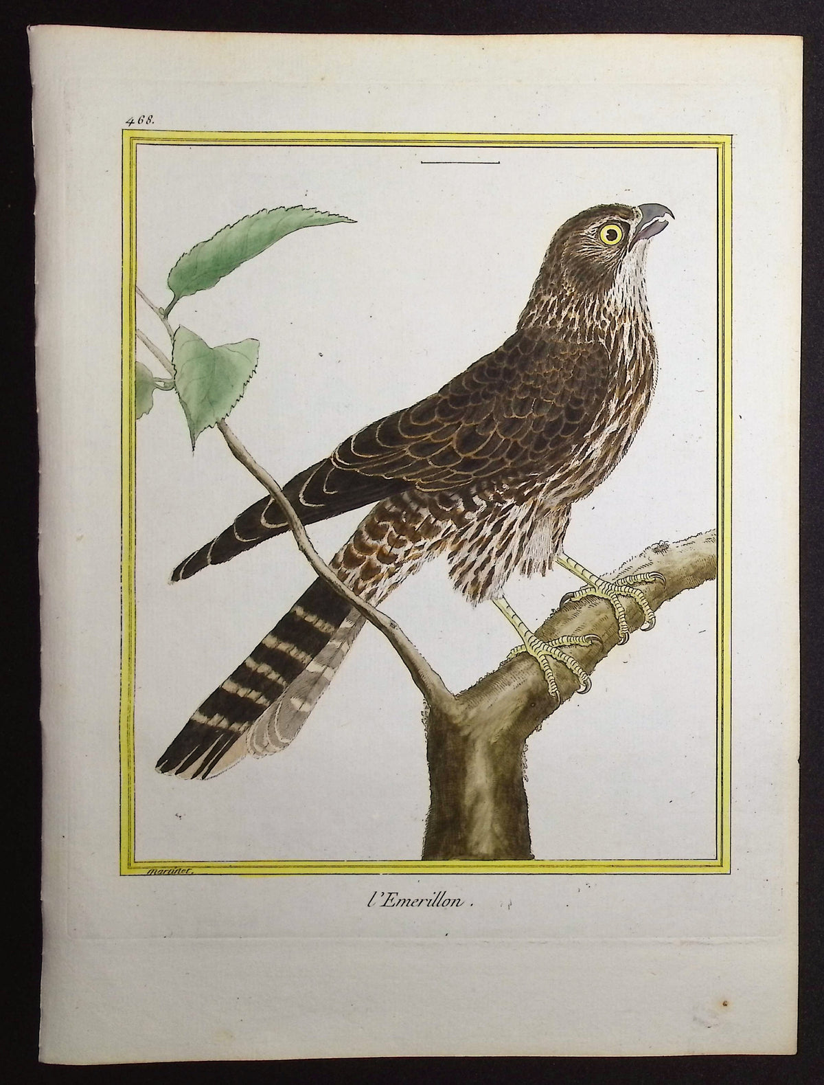 Merlin