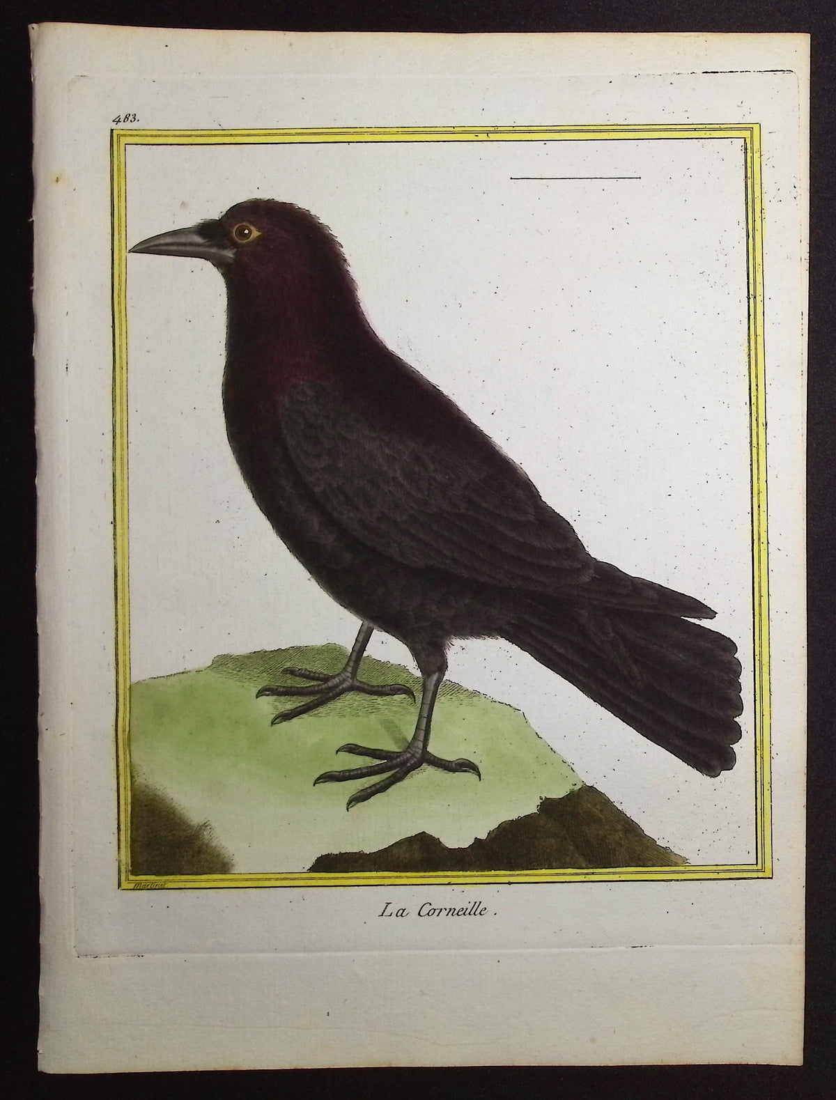 Crow