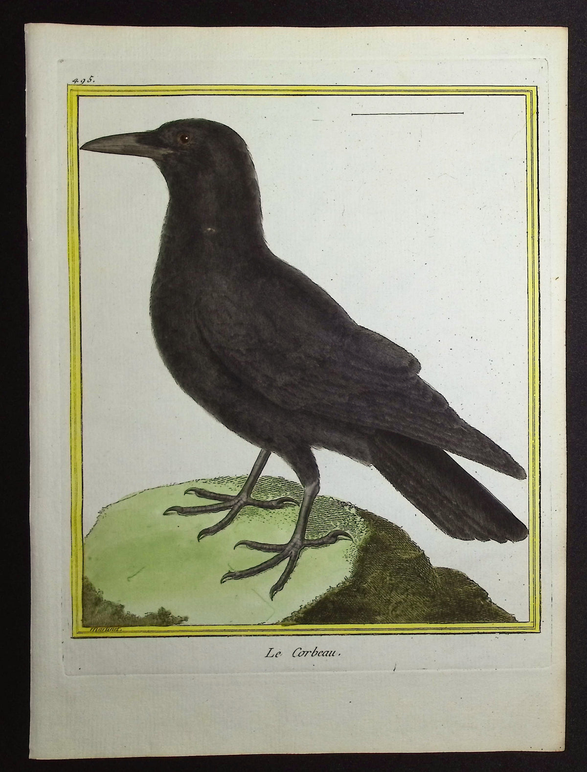 Crow