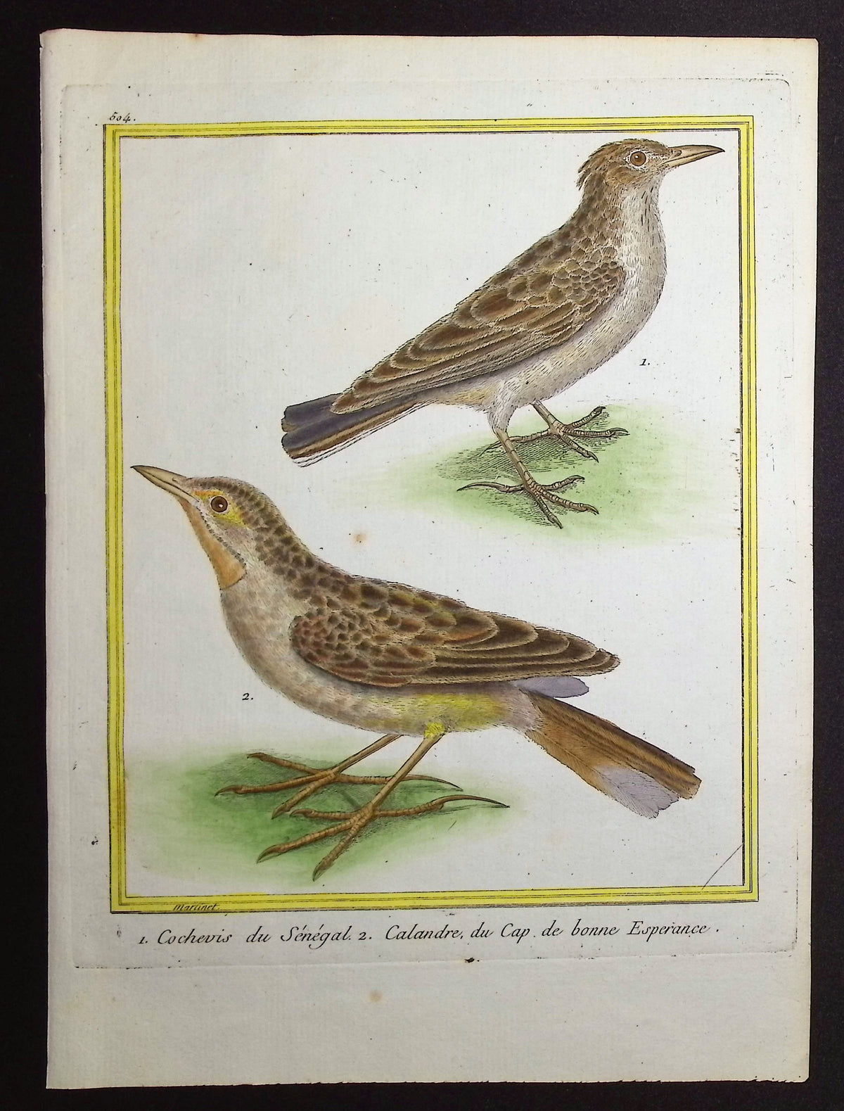 Lark