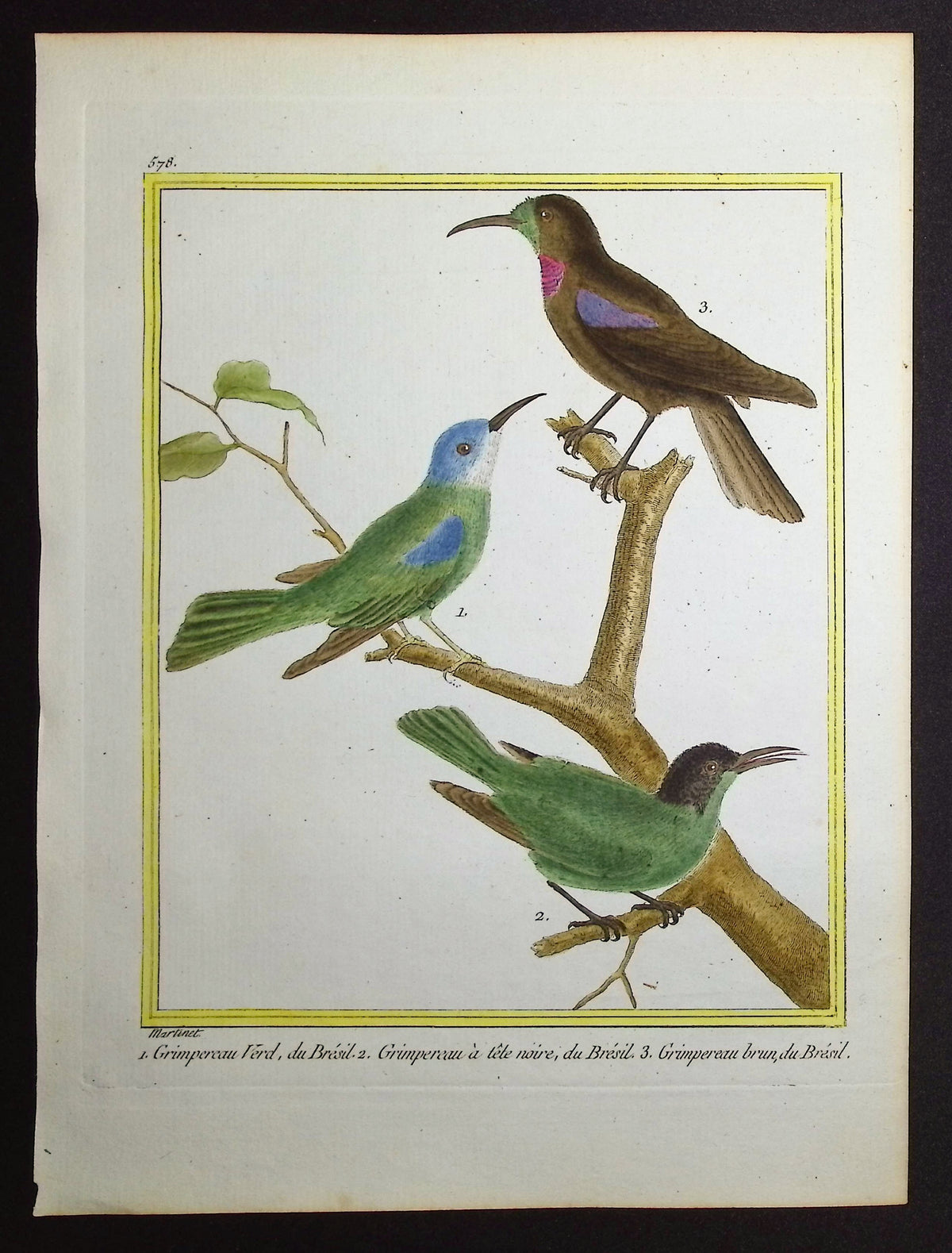 Treecreeper