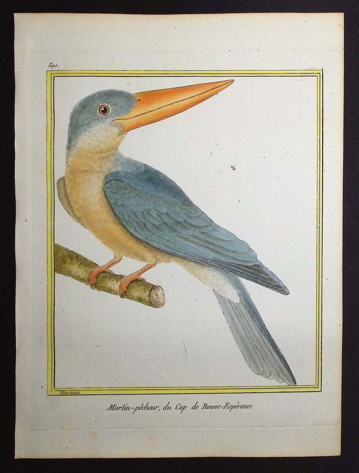 Kingfisher