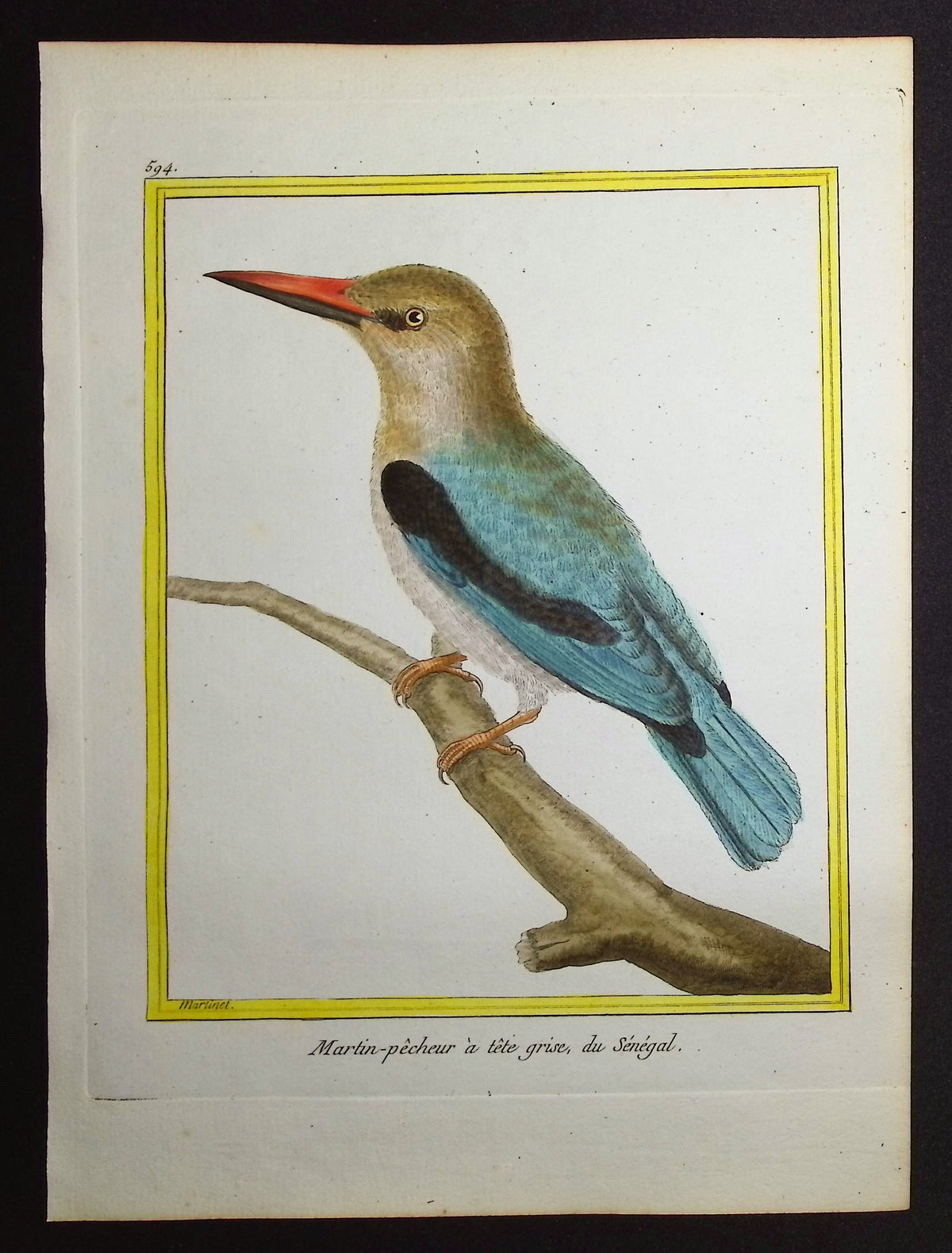 Kingfisher