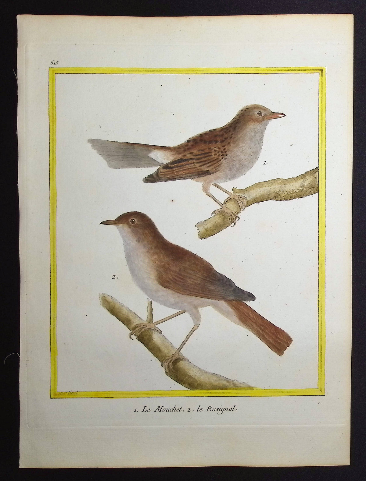 Dunnock