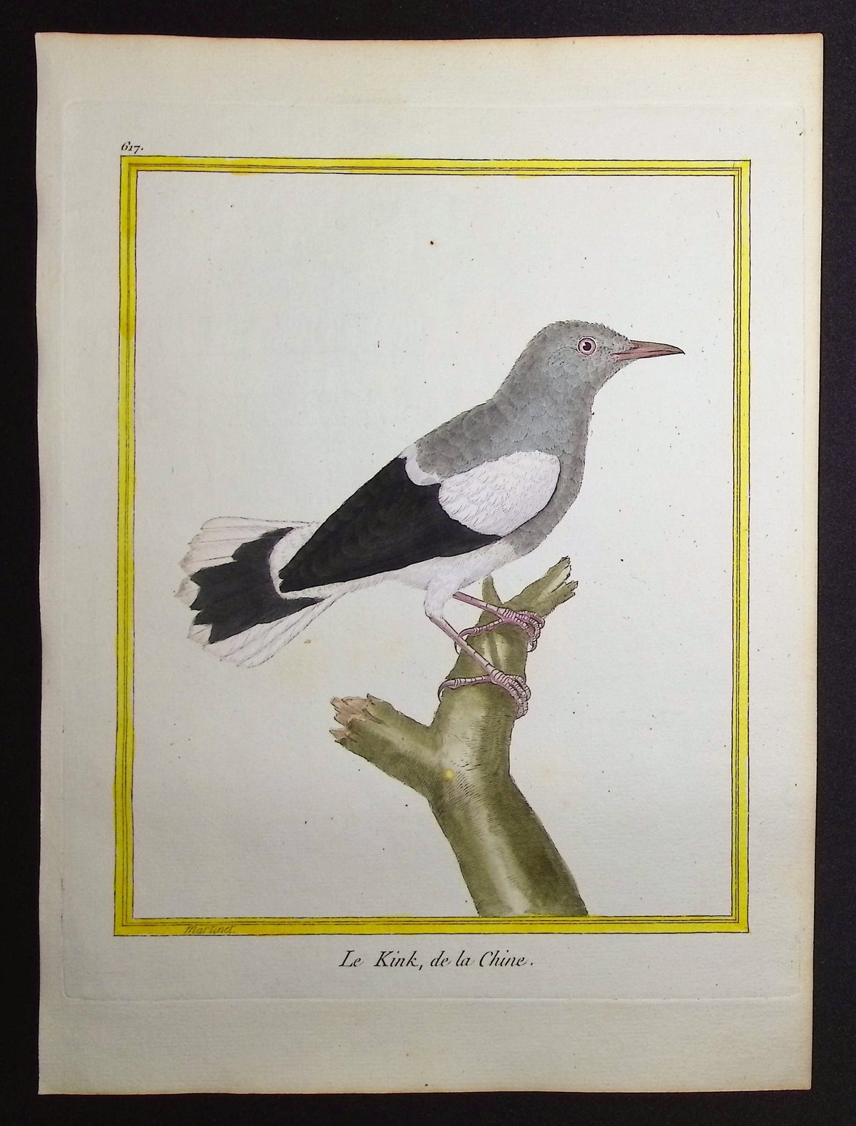 Chinese Bird