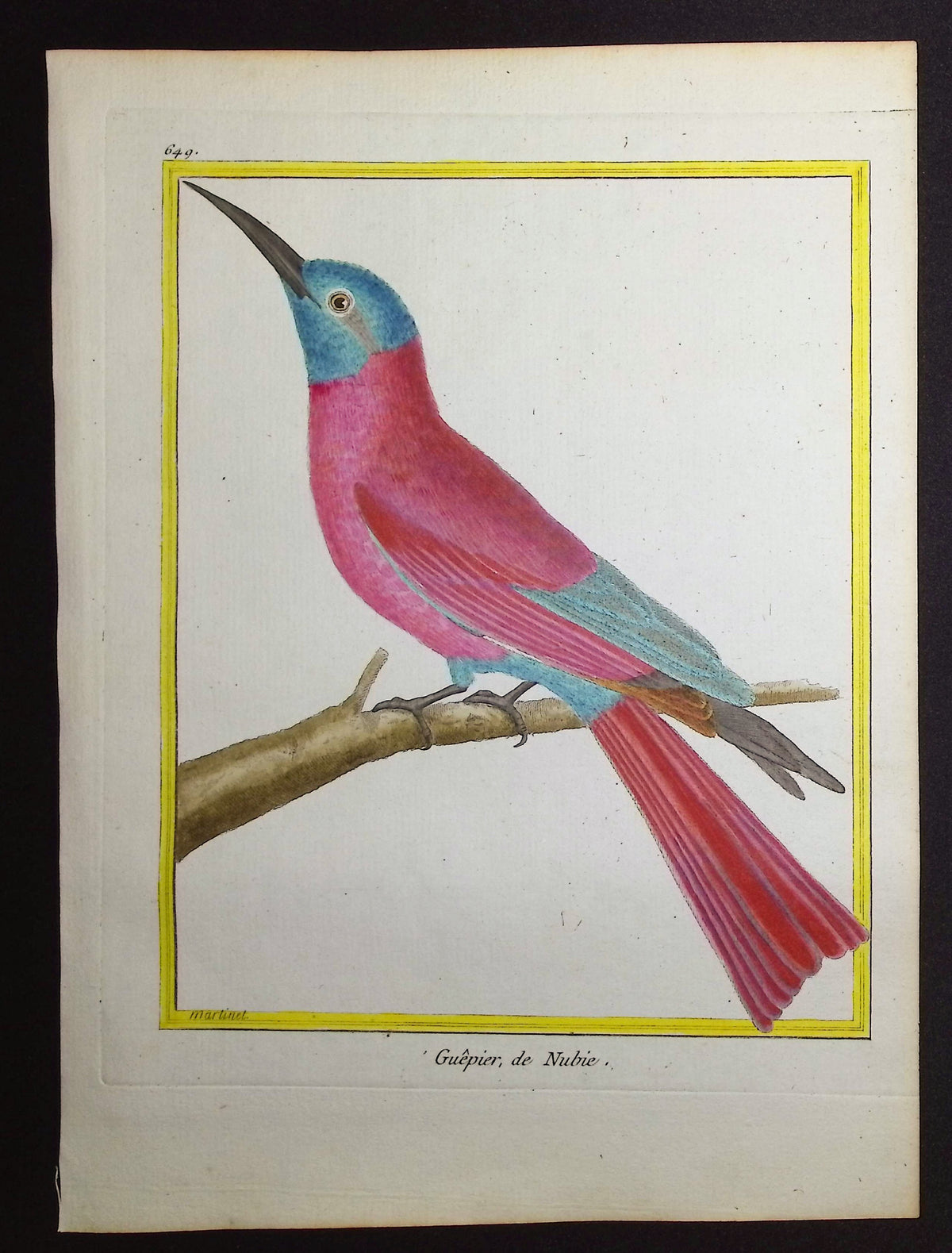 Bee-eater