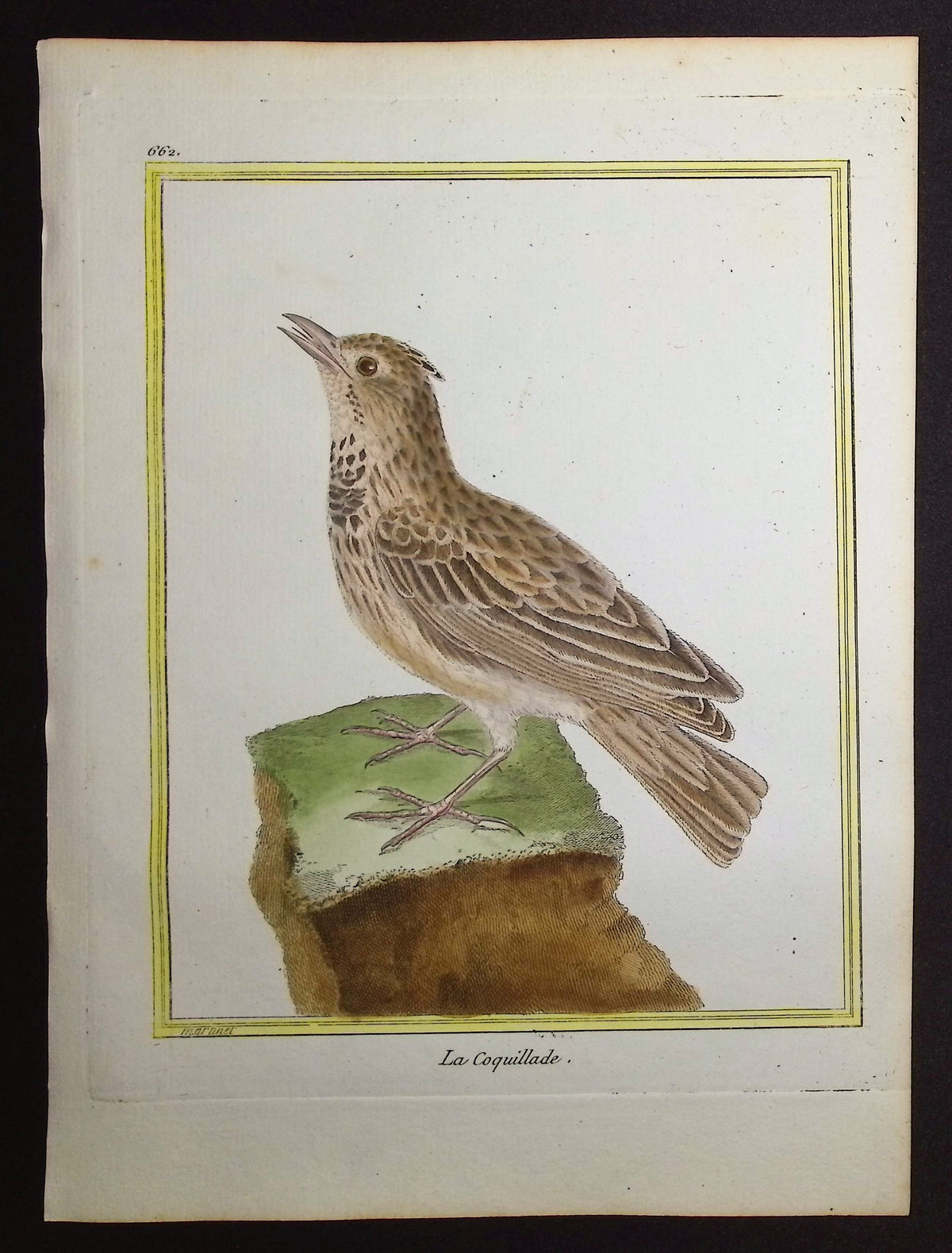 Lark