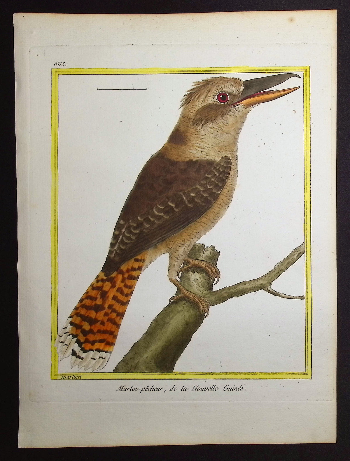 Kingfisher