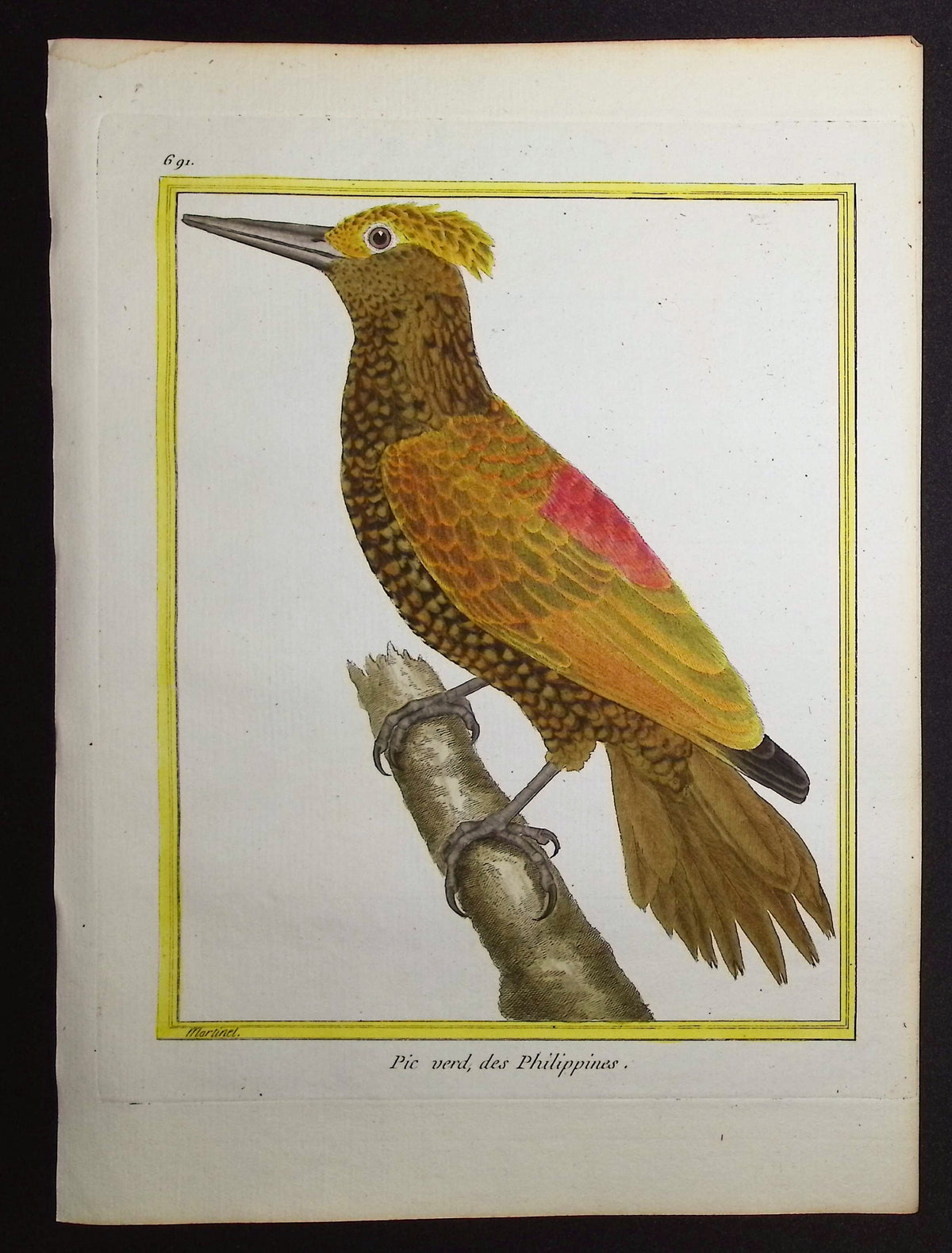 Woodpecker