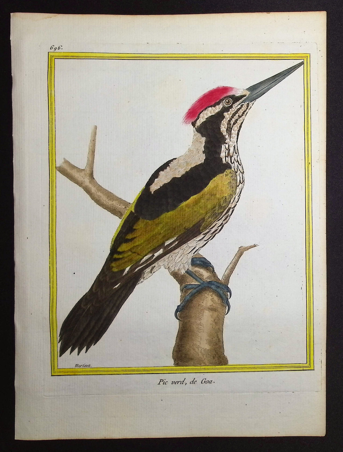 Woodpecker