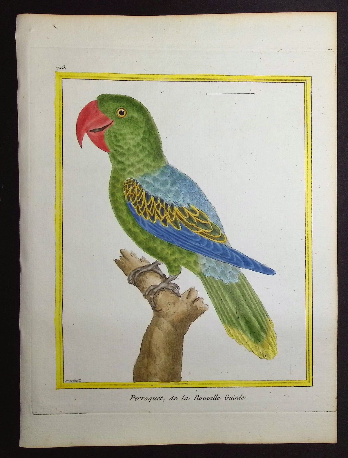 Parrot