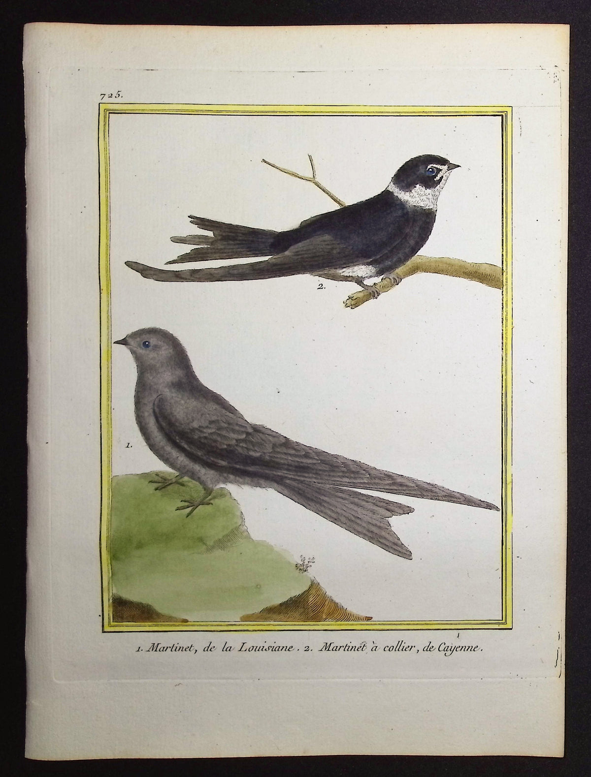 Martinet