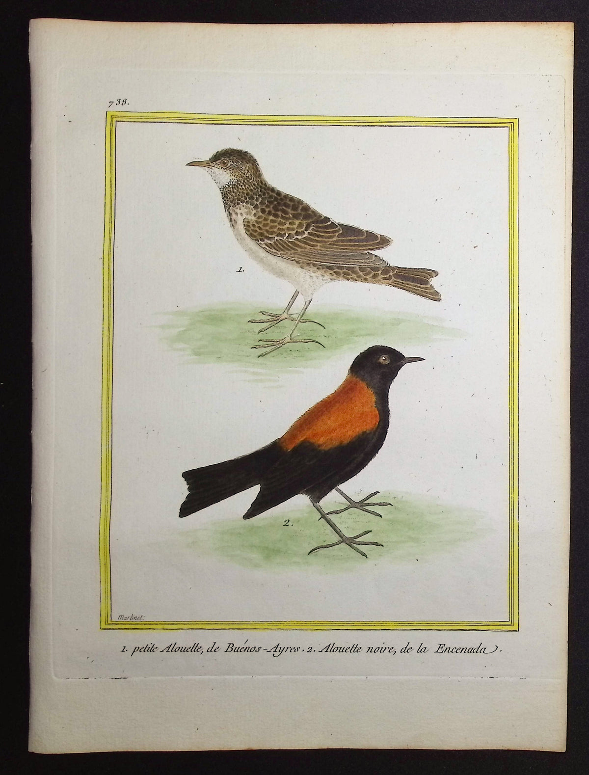 Lark