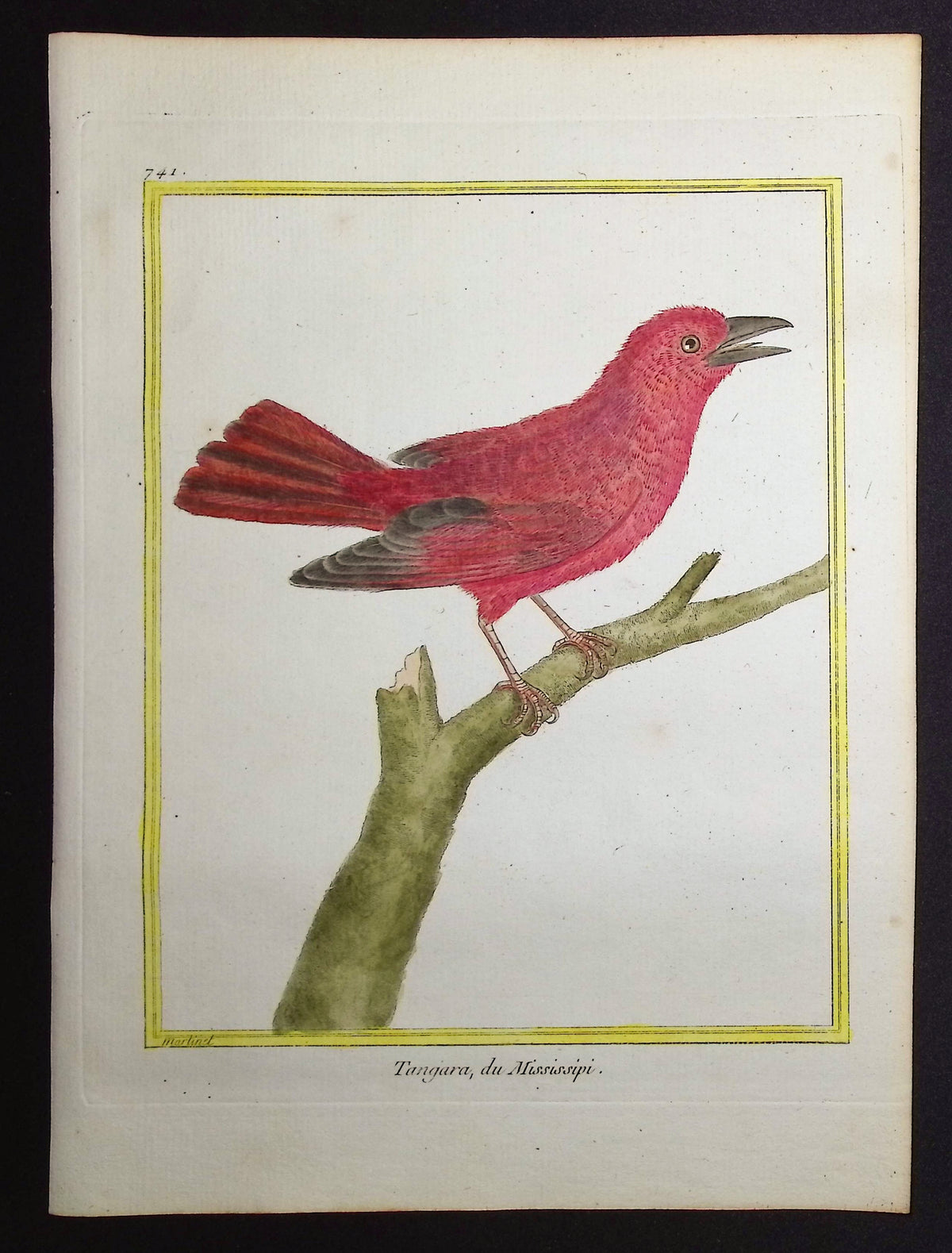 Tanager
