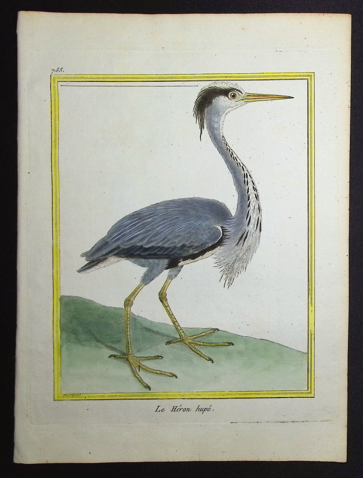 Heron