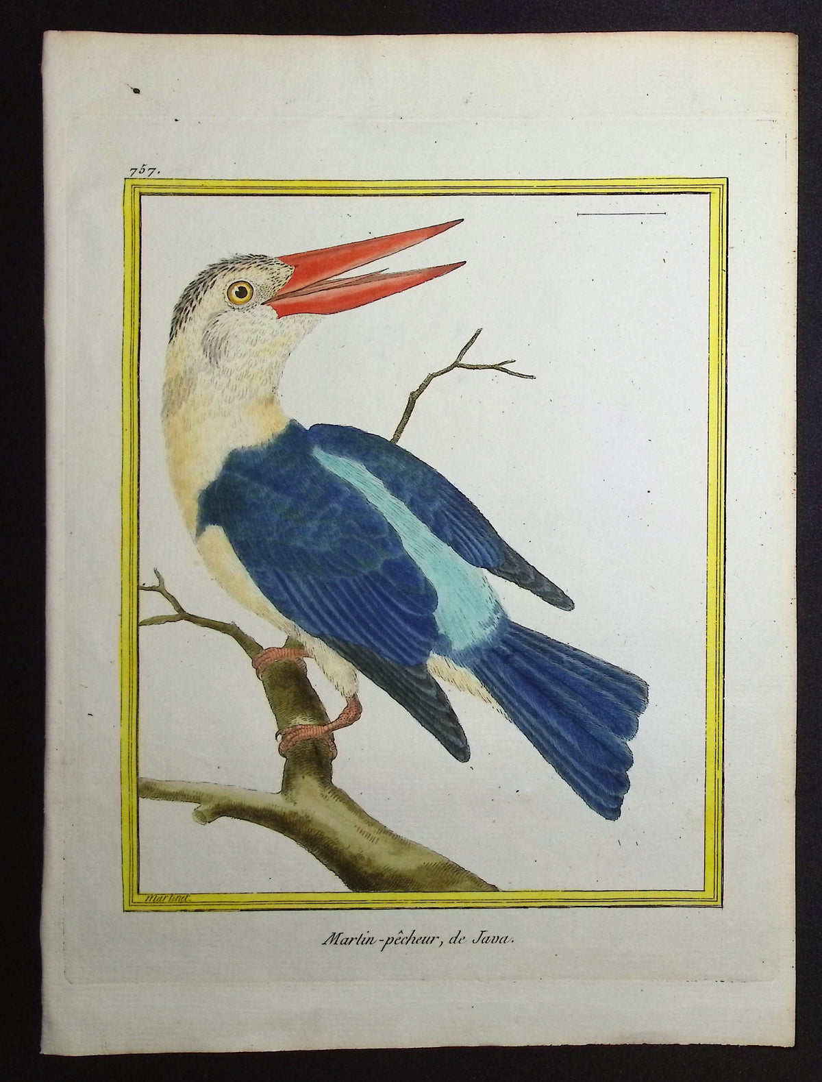 Kingfisher