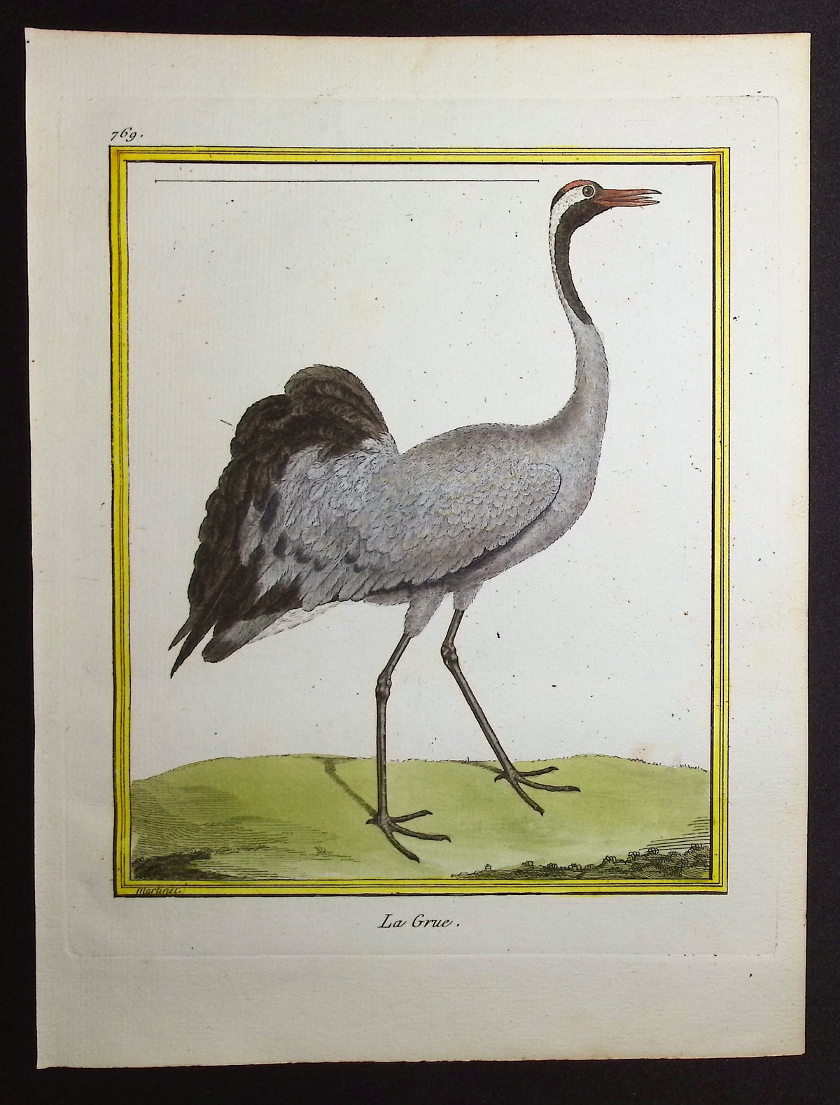 Heron