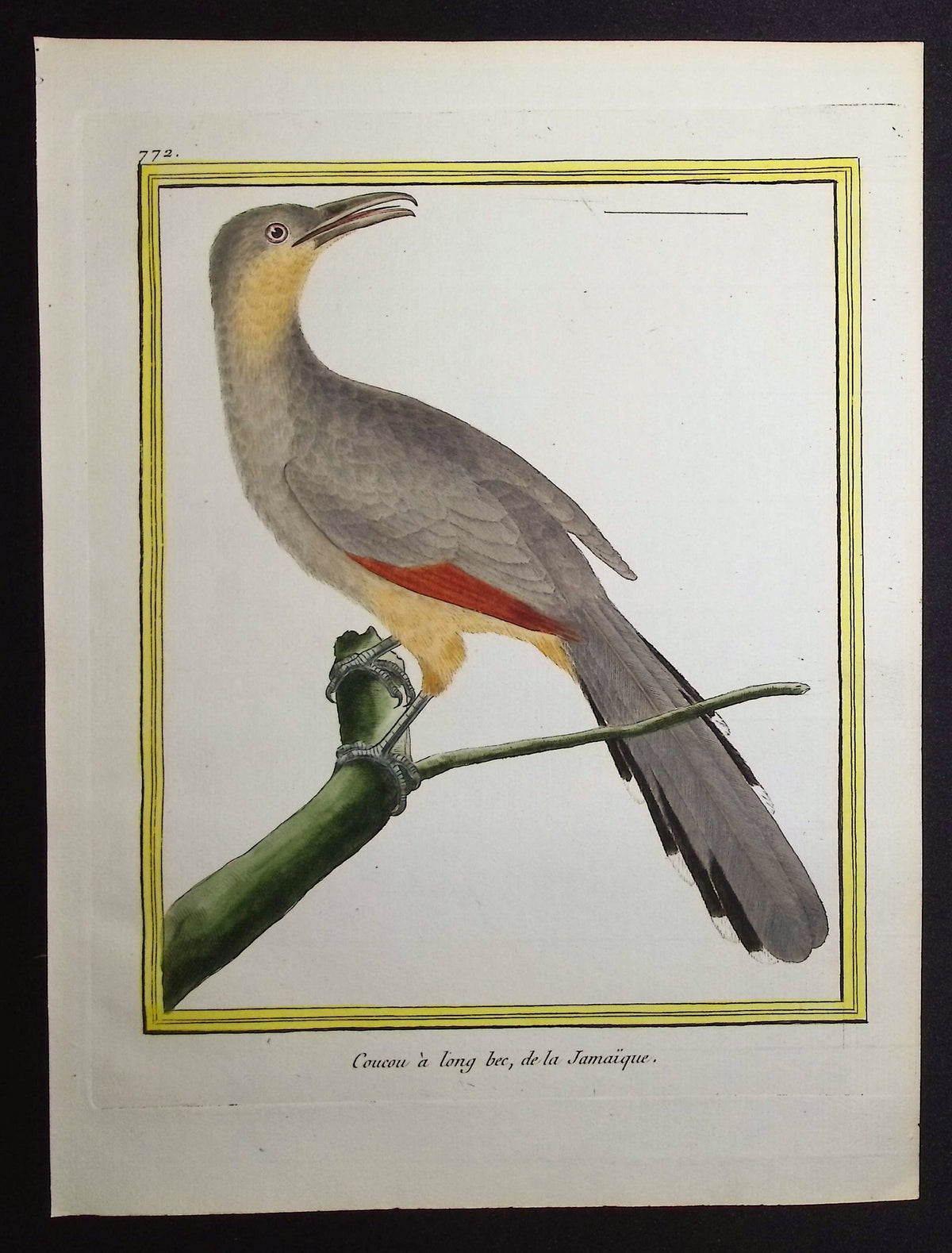 Cuckoo