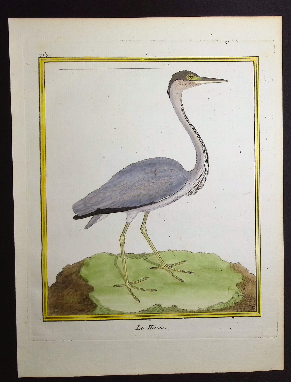Heron