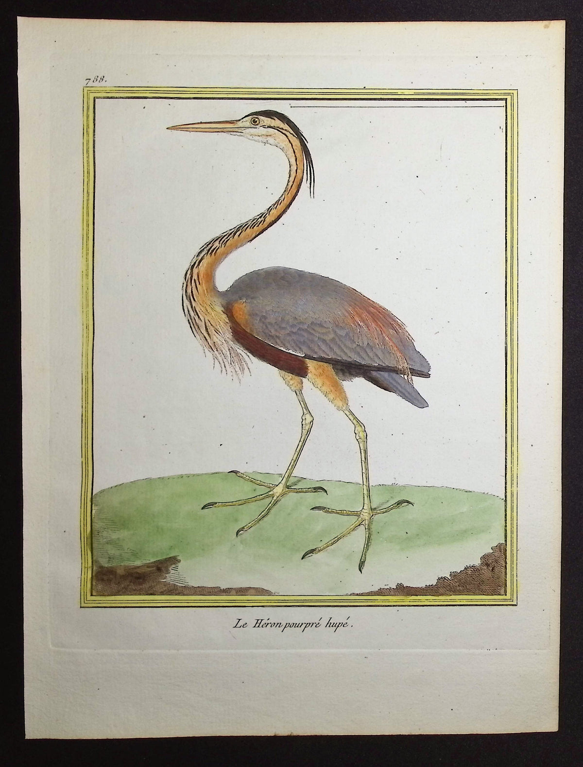 Heron