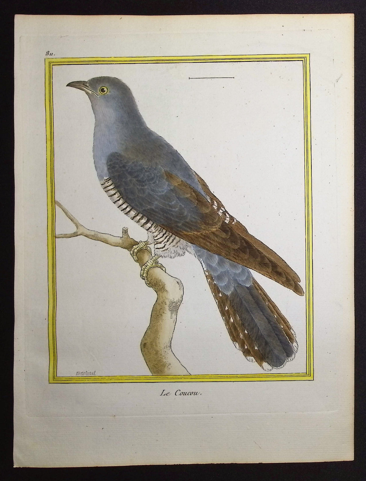 Cuckoo