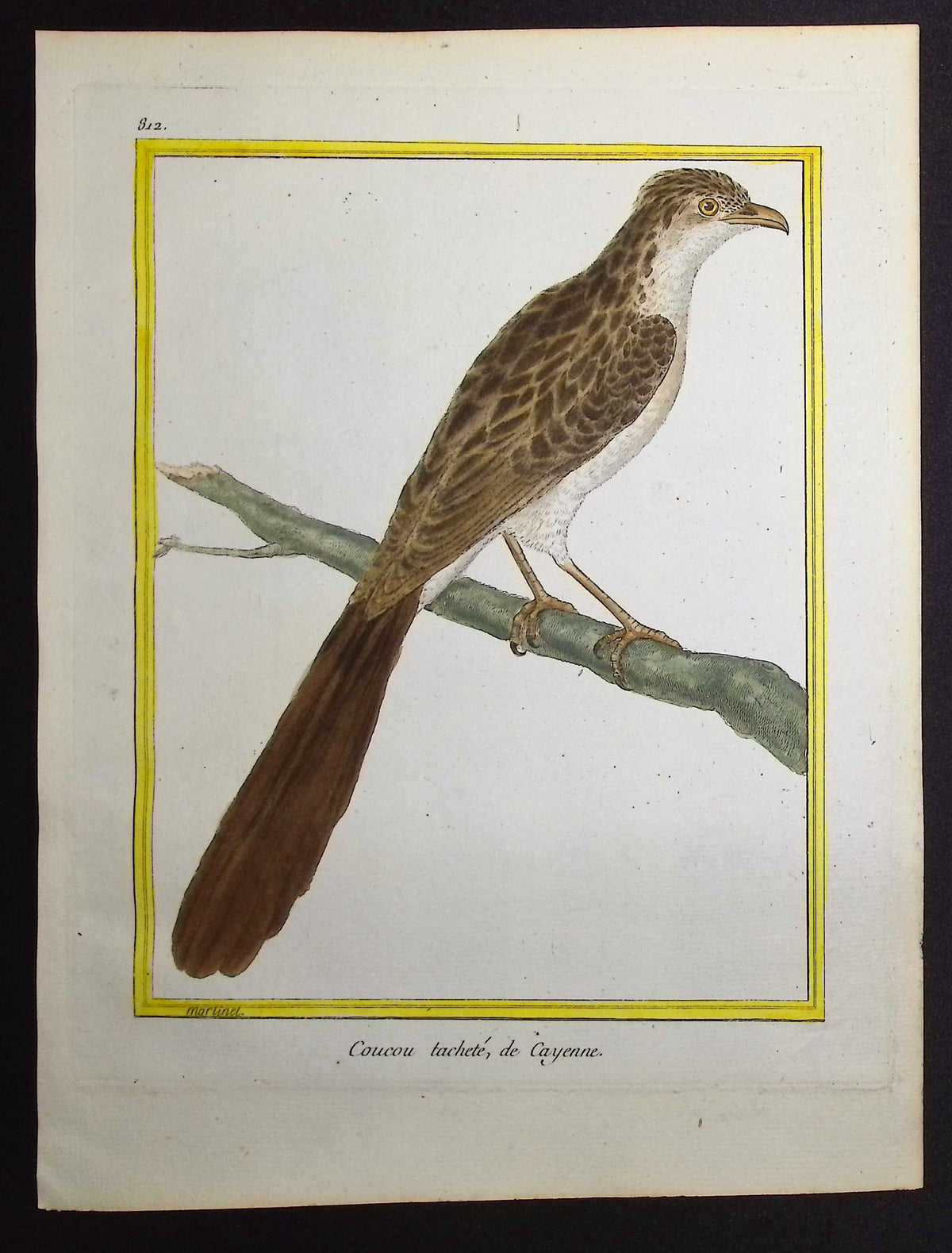Cuckoo
