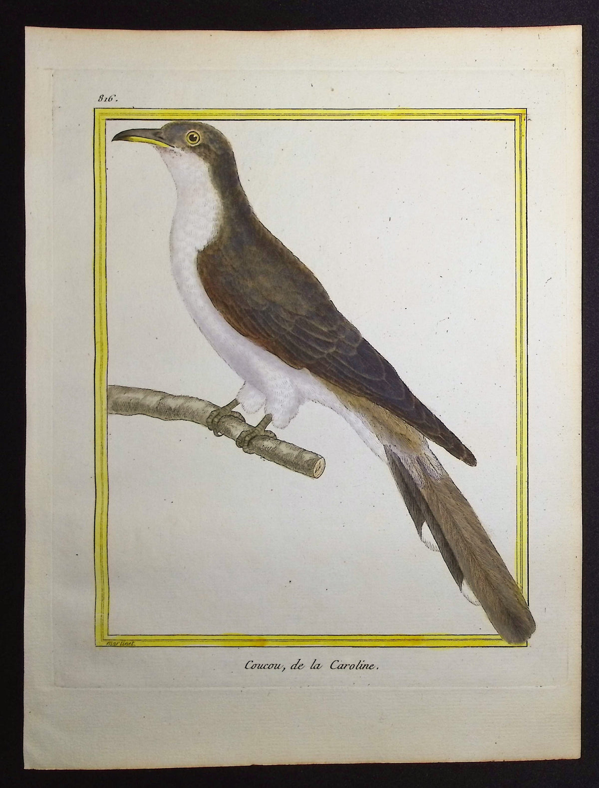 Cuckoo