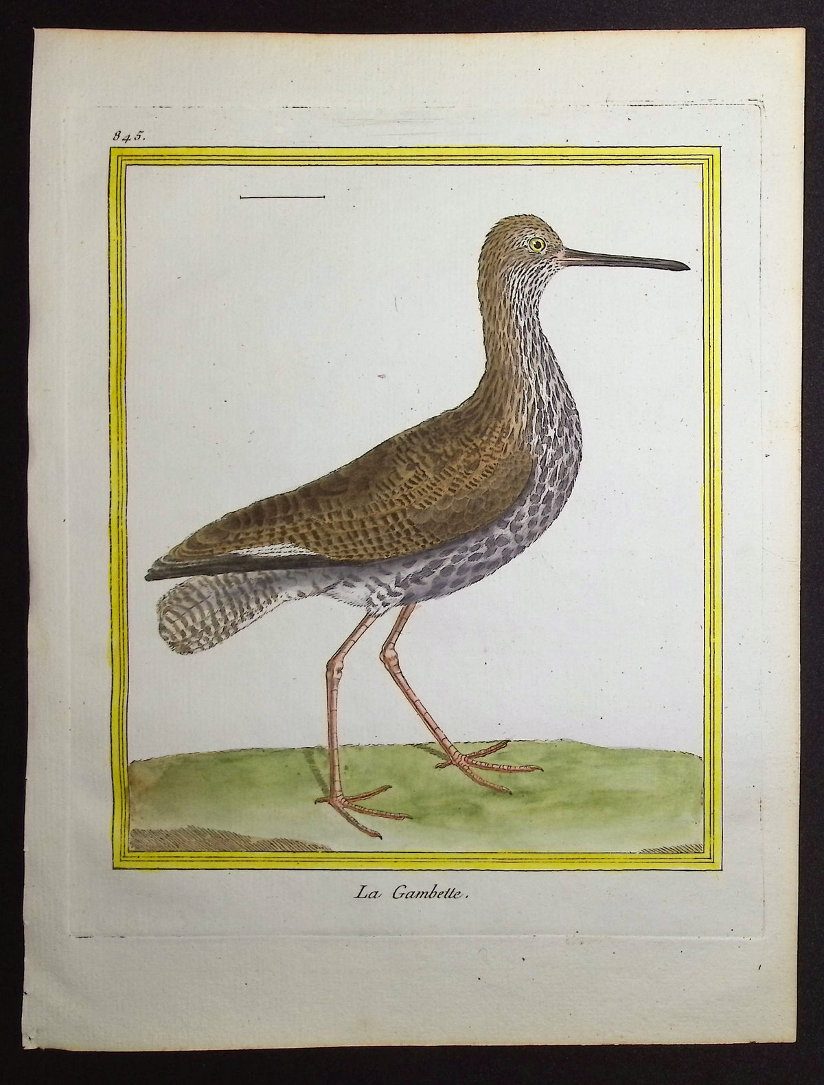Sandpiper