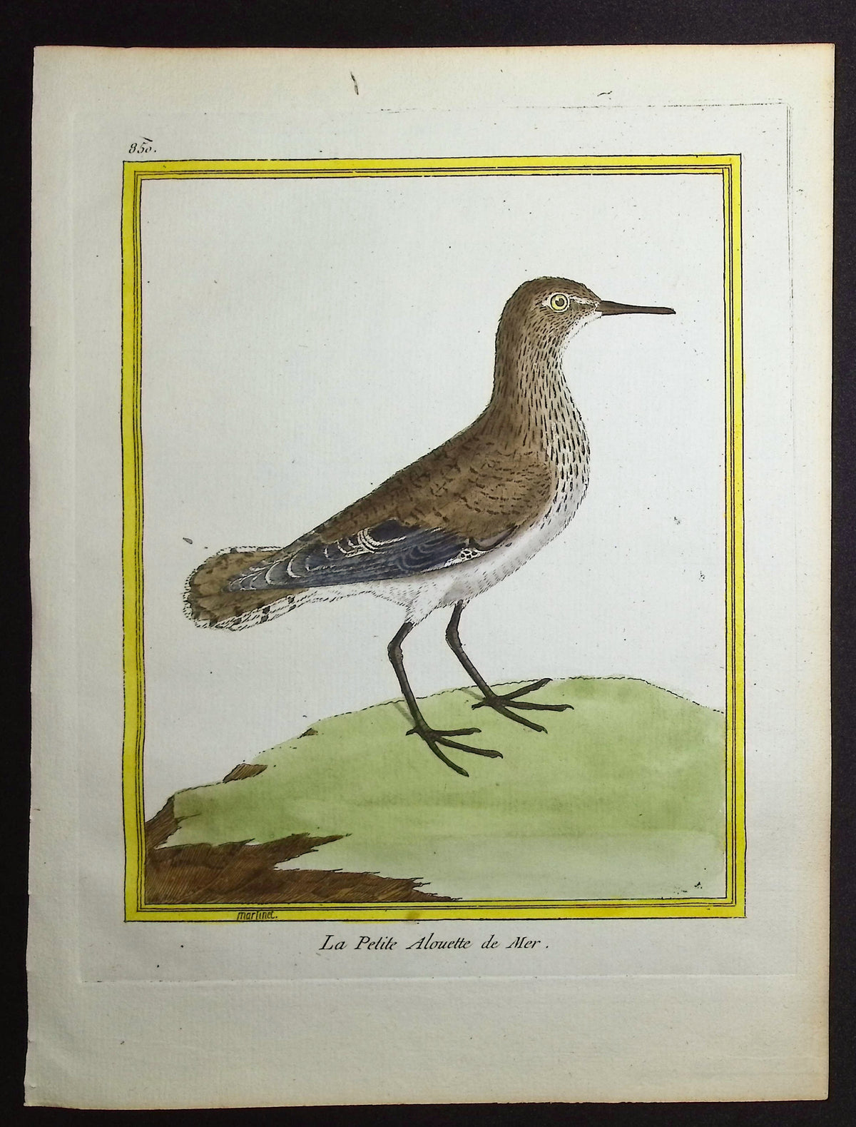 Lark