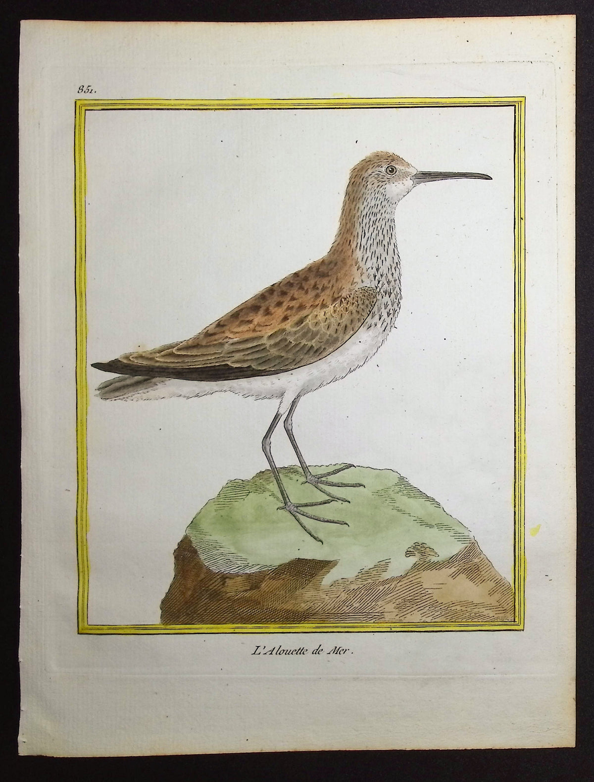 Lark